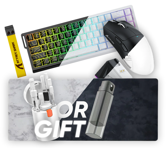 Setup Bundle